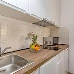 Apartament Island Mihaela *